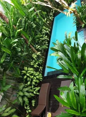 a bench sitting in front of a window with plants at The Pavilion Hotel Kuta in Kuta