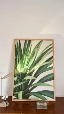 a framed picture of a plant on a desk at Solaris Private Villa Club Residence Canggu in Canggu
