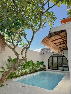 a villa with a swimming pool and a tree at Stella Moon Villa Bali in Kerobokan