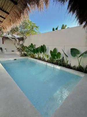 a swimming pool in front of a white wall with plants at Stella Moon Villa Bali in Kerobokan