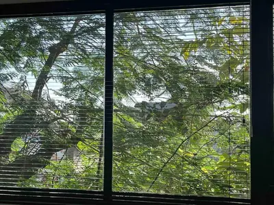 a window with a view of a tree at The Drupadi Apartments Studio Peka in Seminyak
