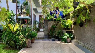 a garden with a bunch of potted plants at St.Regina Bali 3 Bedroom Villa in Nusa Dua