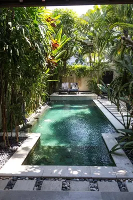 a pool with green water in a garden at Villa Cantik in Canggu