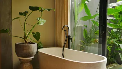 a bath tub with a plant in a window at Luna Ola Villa Berawa in Canggu