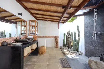 a bathroom with a shower and a sink and cactus at Villa Arev in Kerobokan