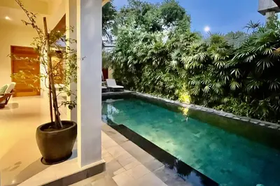 a swimming pool in a house with a potted plant at Villa Plawa in Seminyak