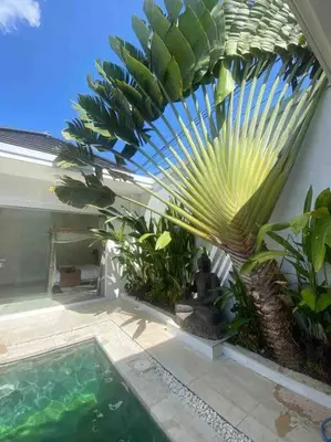 a swimming pool with a palm tree next to a house at UMARA villa bali x villa aydin kerobokan bali in Seminyak