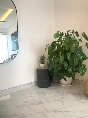 a mirror and two potted plants in a room at Capung Smart Residence in Sanur