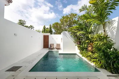 a pool in the backyard of a house with plants at Villa Jabula in Seminyak