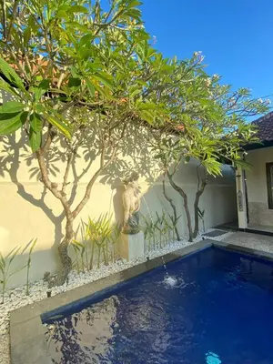 a swimming pool next to a house with trees at Sorry we close in Seminyak