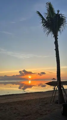 a palm tree on a beach with a sunset at Bali Telaga Hati Yoga Healing and Retreat Center Villa in Sanur