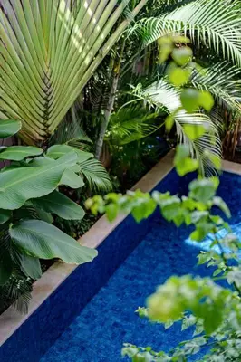 a garden with palm trees and a blue pool at Cosy 1 Bd Pvt Apartment with shared kitchen and pool in Seminyak