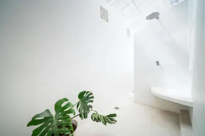 a green plant in a bathroom next to a sink at Lovely 3 BR villa with private pool in Canggu