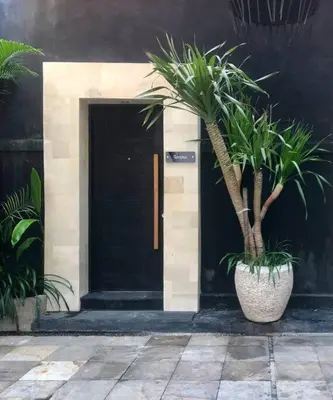 a plant in a pot in front of a black door at Villa Teratai in Seminyak