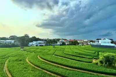 a large green field with tracks in the grass at Willy 4 BR Comfort Quadruple Room in Jimbaran