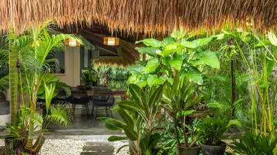 a restaurant with plants and a straw roof at Villa Celeste by Villa Finder in Seminyak