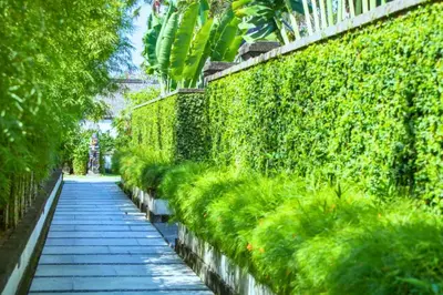 a garden path with a green wall and plants at Dilana 2 BR Bamboo Villas JU66 in Seminyak