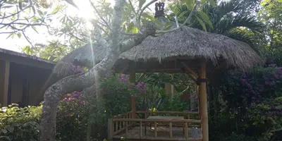 a small hut with a tree and flowers at Vico hotel in Nusa Dua