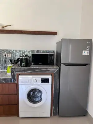 a kitchen with a washing machine and a refrigerator at Louise villa in Jimbaran