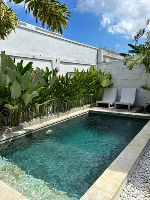 Gallery image of Baliview Homestay in Canggu