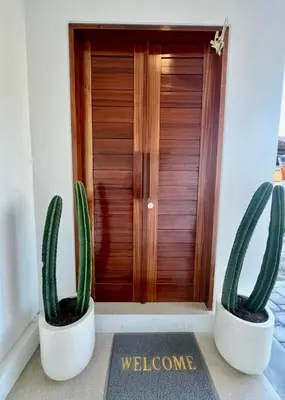 two cactuses in pots in front of a door at CASA NOOA Kerobokan in Kerobokan
