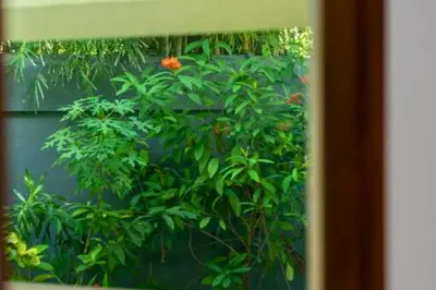 a plant with orange flowers in front of a wall at Omkara 2 BR Deluxe Private Pool Villa ZN253 in Seminyak