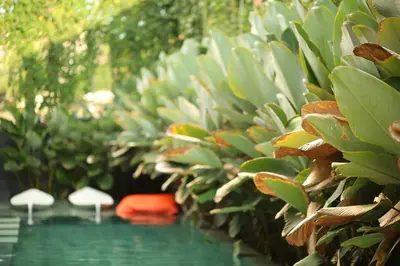 a garden with umbrellas and a pool of water at M Boutique Hostel in Seminyak