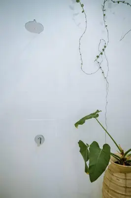 a plant in a vase next to a white wall at Villa Kamboja 1 Seminyak in Seminyak