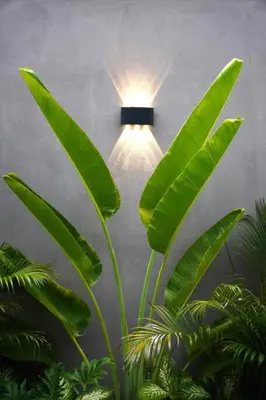 a light on a wall with green plants at Atelier 1Br Villas in Seminyak in Seminyak