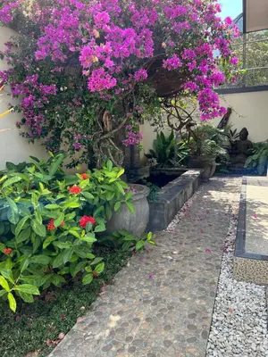 a garden with pink flowers and plants at Pondok Ledog 01 in Badung