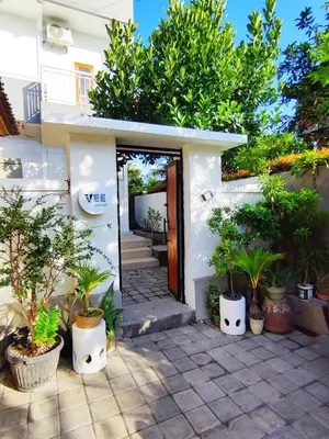 a house with potted plants in front of a door at Vee Surf in Canggu