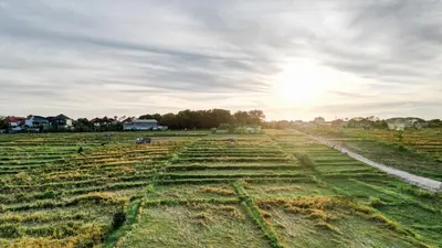 an open field with the sun in the sky at Sunset D1 Villa by Betterplace in Kerobokan