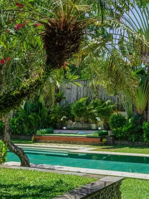a swimming pool in a garden with a palm tree at Villa Mata Budha Seminyak in Seminyak