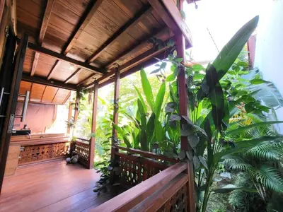 a porch of a house with plants and a wooden deck at 2BR Abelle garden lumbung house in Kerobokan