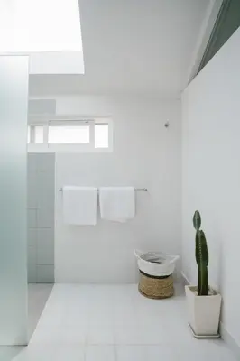 a white bathroom with a cactus in a pot at Villa Kubu Lebak 3 in Seminyak