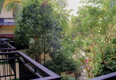 a view of a garden with trees and bushes at Hotel Damai in Denpasar