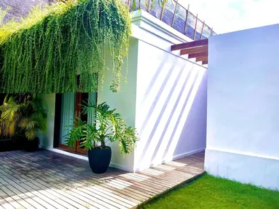 a plant in a pot on the side of a building at Top Villa Ilo, best area near canggu 250 m2 on 750 m2 land in Kerobokan