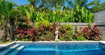 a swimming pool in front of a garden with plants at 3 Bedroom Villa Mawar walk to Beach Legian in Legian