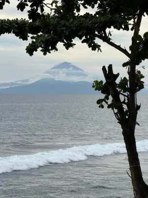 a tree on the beach with a mountain in the background at Villa Leyan 1 Semer - Between Seminyak & Canggu in Seminyak