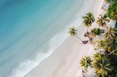 an overhead view of a beach with palm trees and the ocean at Villa Sinergi Seminyak 3 in Seminyak