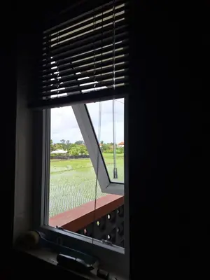 a window with a view of a field of corn at Home88 Sanur in Sanur