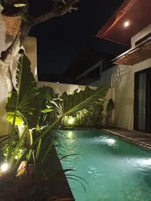 a swimming pool at night with a bunch of plants at Villa Juanjo Sanur in Sanur