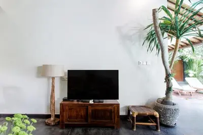 a living room with a tv and a palm tree at The Clovewood Villa in Seminyak