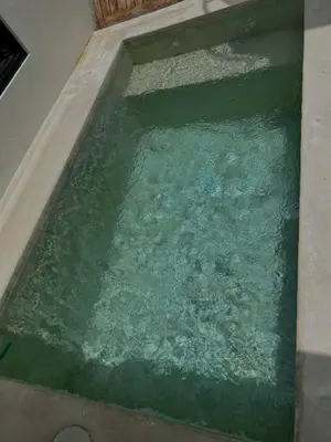 a pool of green water in a room at Shine sunset villa in Kerobokan