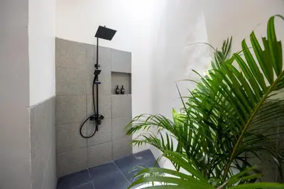 a bathroom with a shower with a plant at Pool Garden Private 2BR Villa - 10 min to Finns Beach Club in Canggu