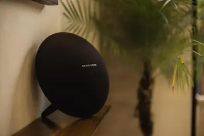 a black speaker sitting on a table next to a plant at CAVO Villa in Seminyak