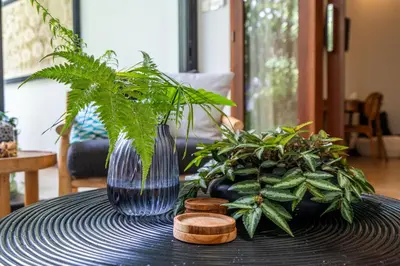 a blue vase sitting on a table with plants at Tropical 2BR Villa with Private Pool in Canggu in Canggu