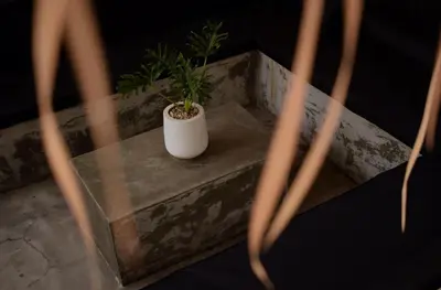 a plant in a white vase sitting on a table at ChinGiack Apartments Canggu Pool and Terrace in Canggu