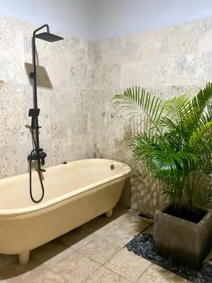 a bath tub in a bathroom with a plant at Zen Home in Jimbaran