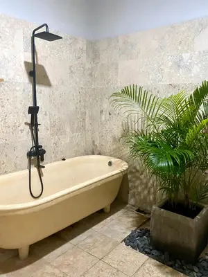 a bath tub in a bathroom with a plant at Zen Home in Jimbaran